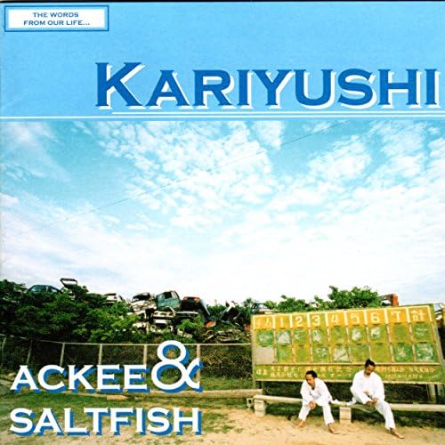 洋楽 ACKEE&SALTFISH & NANJA MAN/Precious Ting ACKEE&SALTFISH & NANJA MAN/Precious Ting